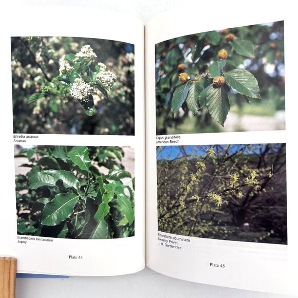 A Field Guide To Texas Trees By Benny J. Simpson Hardcover 1988 Signed by Author - Picture 10 of 16